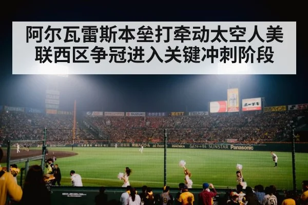 baseball stadium crowd night game